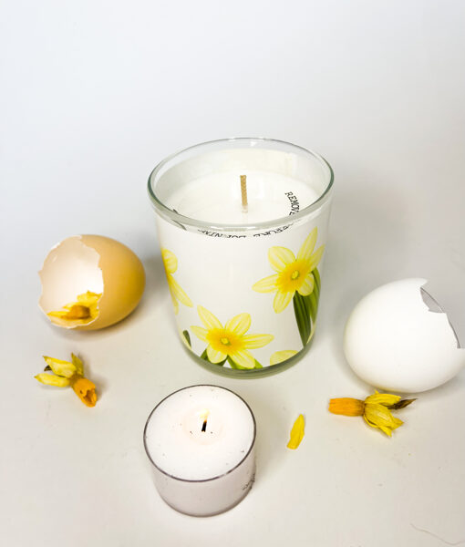 Svece stikla glāzē ar jasmīnu-bumbieru aromātu un pavasarīgām narcisēm uz jostas